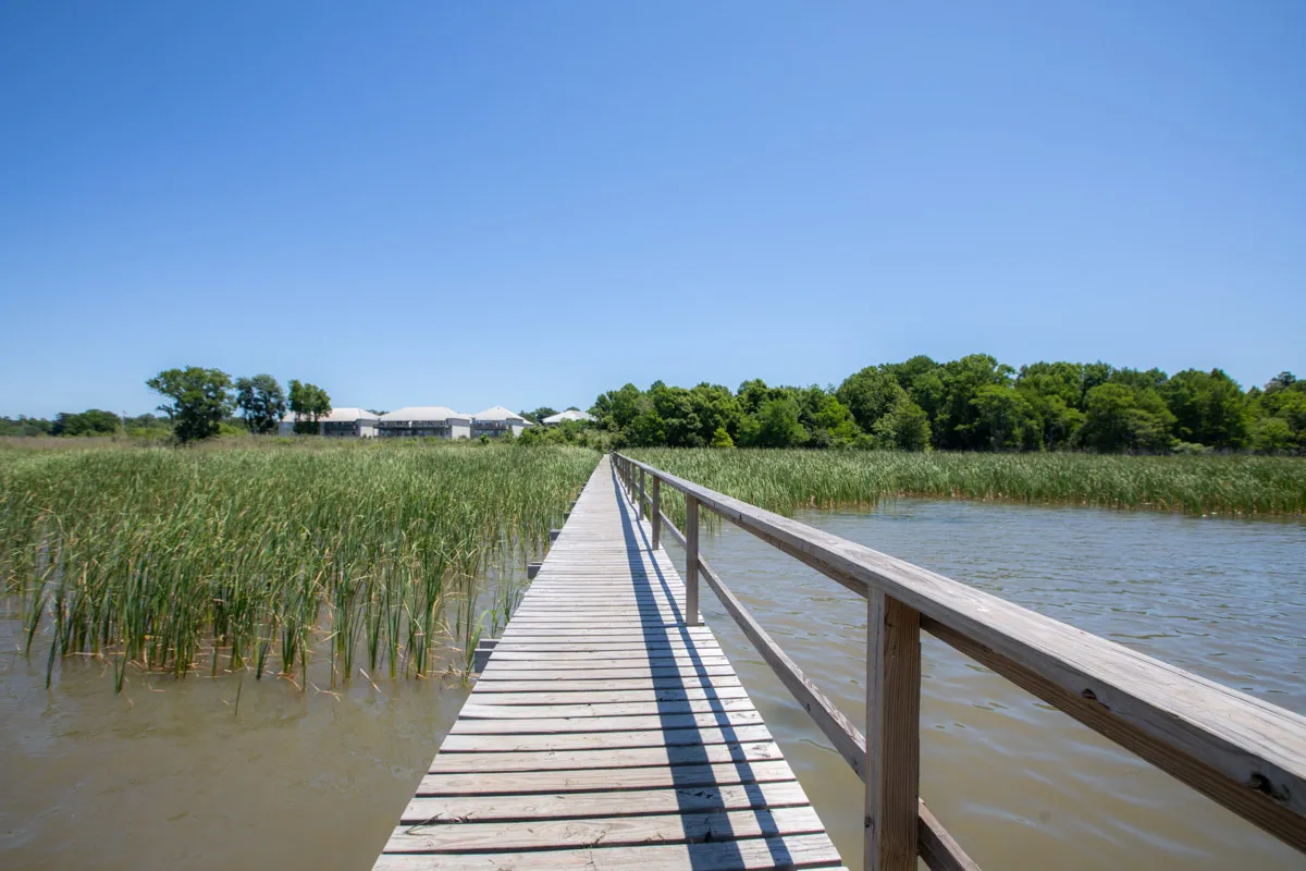 Boardwalk